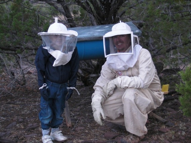 babyBeekeeper