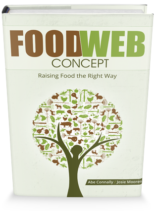Homesteading Food Web: Concept - Raising Food the Right Way